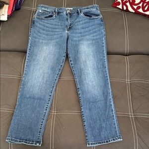 STS Blue Straight Leg Denim Jeans